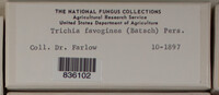 Image Associated With the Occurence